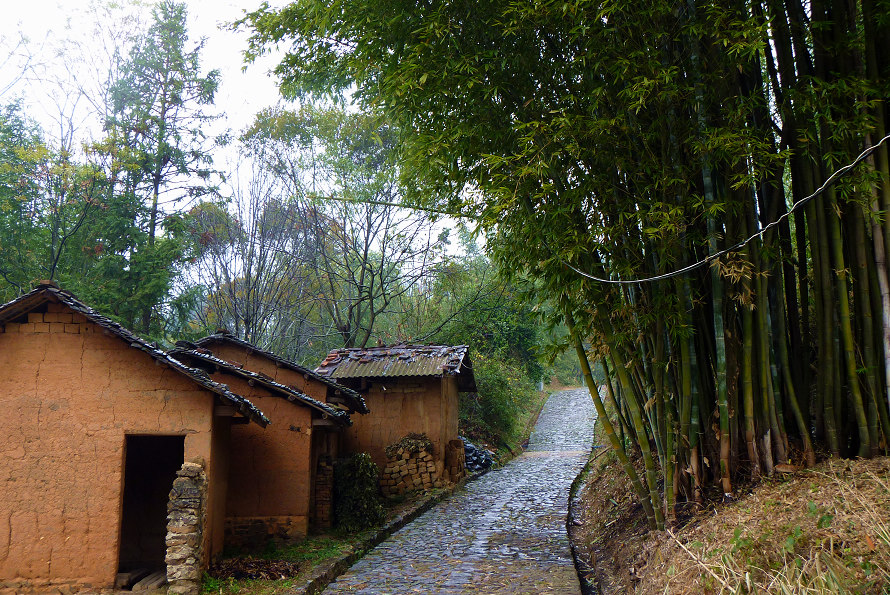 p1010526.jpg