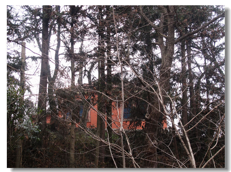 20120102 213.jpg