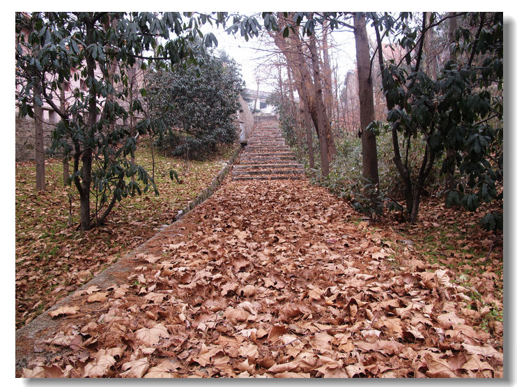 20120102 218.jpg
