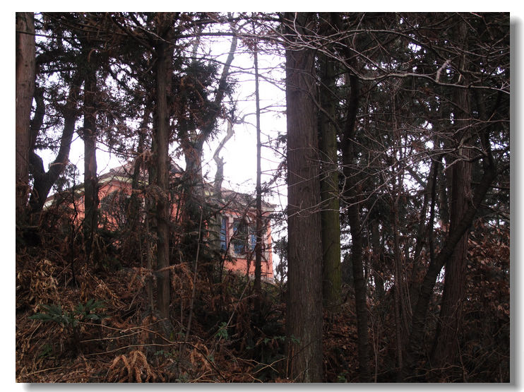 20120102 224.jpg
