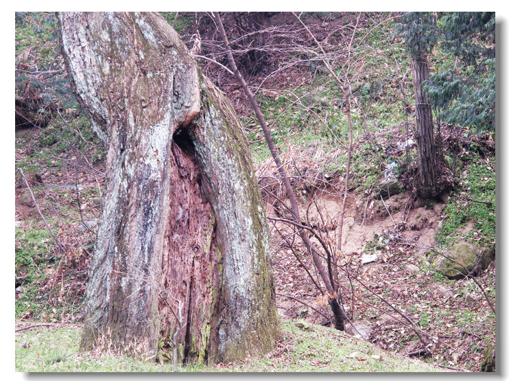 20120102 238.jpg