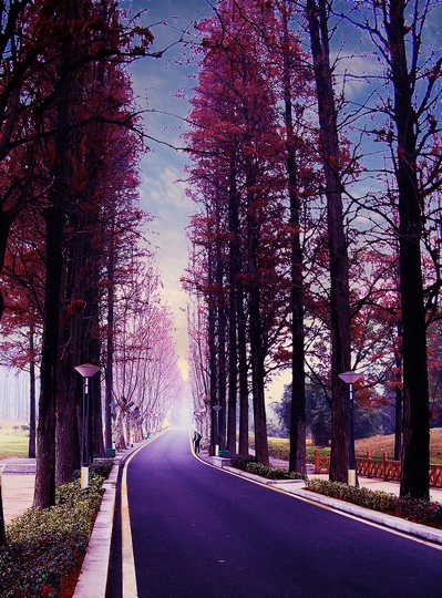 dscn0429#.jpg