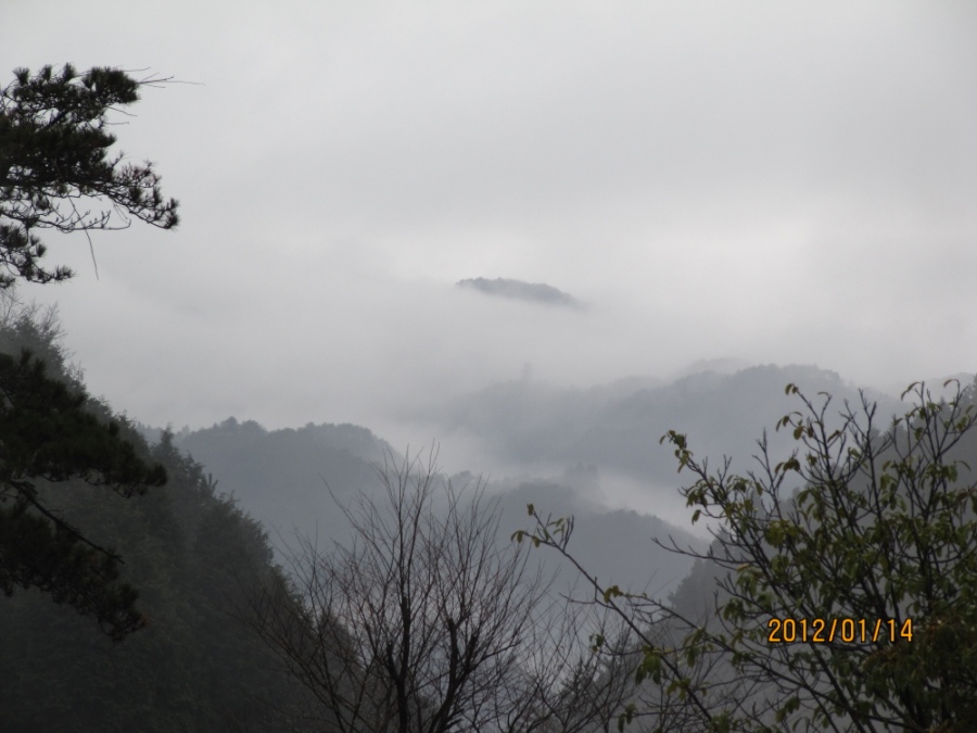 img_5318.jpg