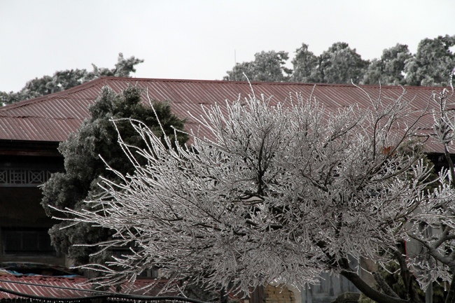 img_4821.jpg