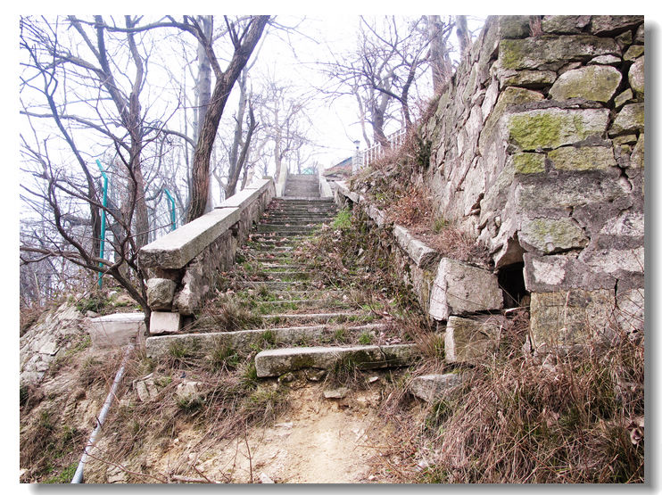 20120102 169.jpg