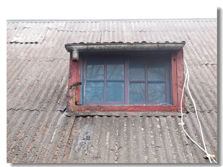 20120102 225.jpg