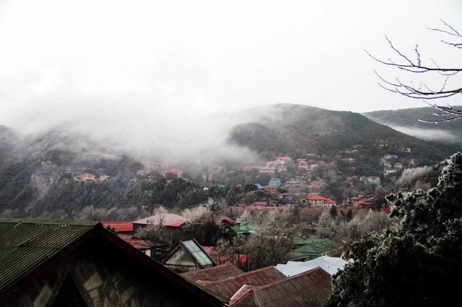 img_4837.jpg