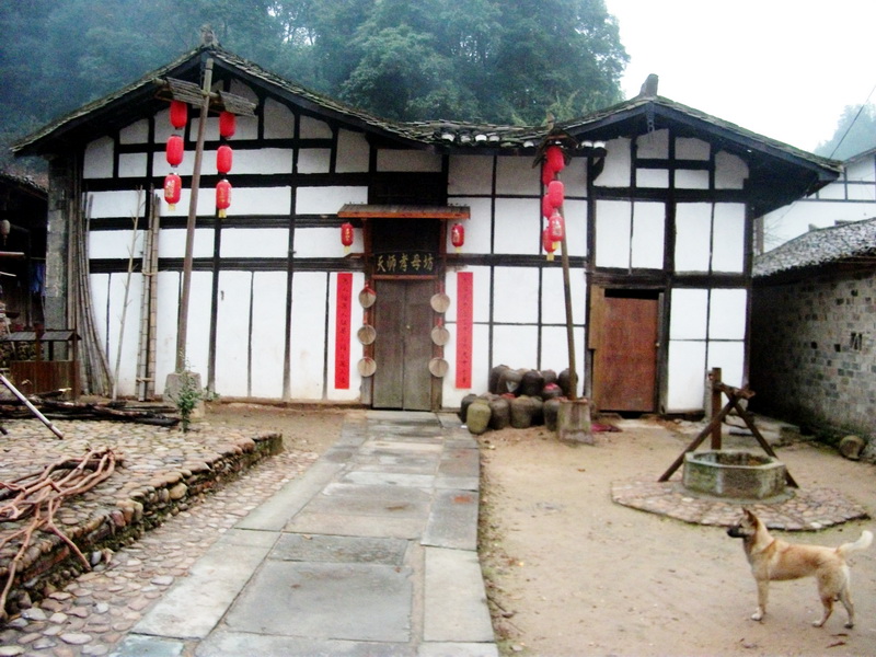 dscf0268.jpg