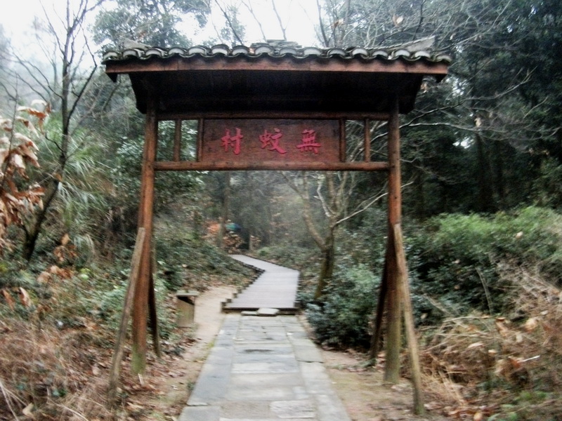 dscf0270.jpg