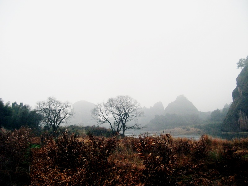 dscf0273.jpg