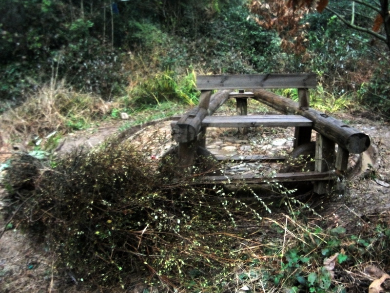 dscf0271.jpg