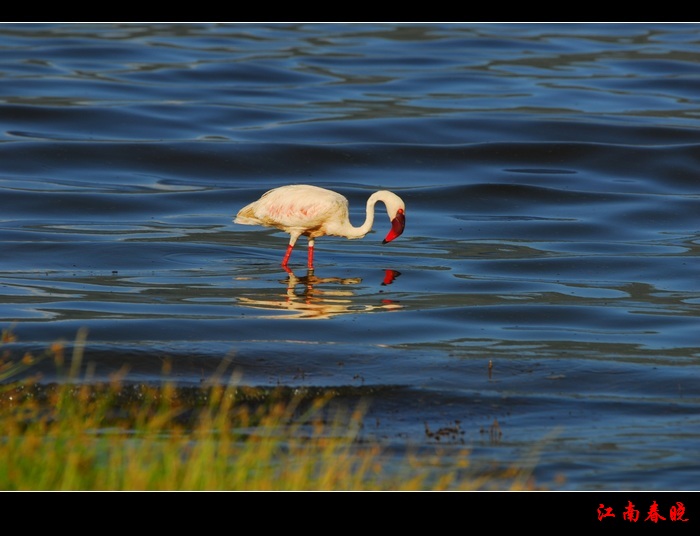 neo_img_dsc_0484-.jpg