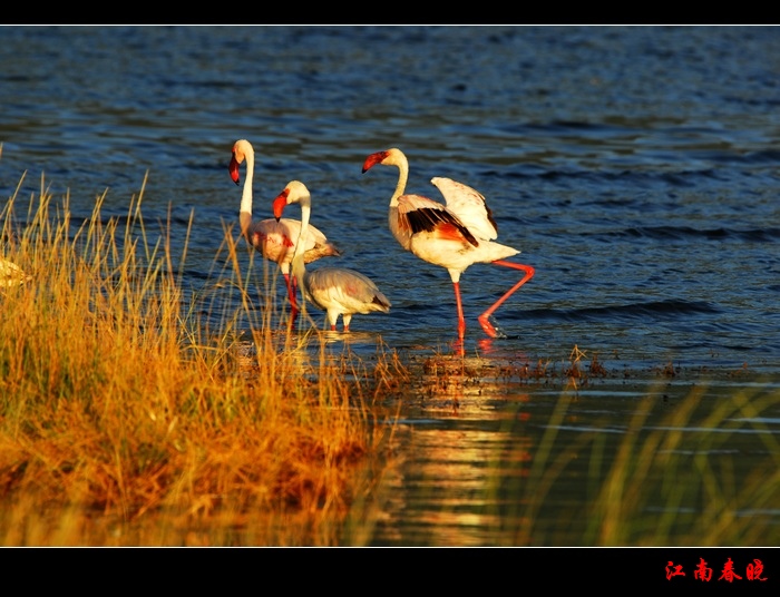 neo_img_dsc_0567-.jpg