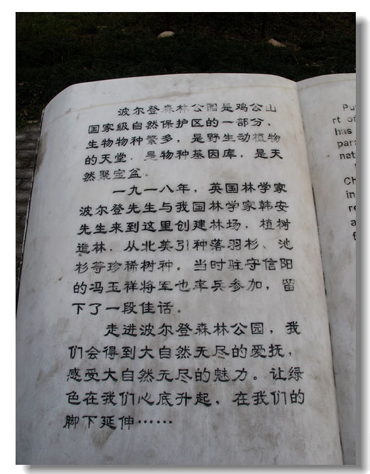 20120102 248.jpg