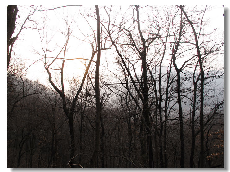 20120102 249.jpg