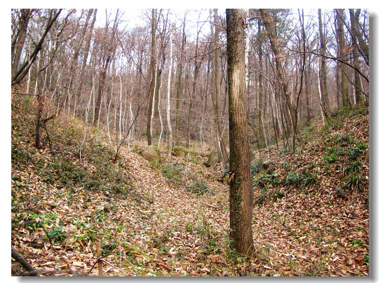 20120102 280.jpg