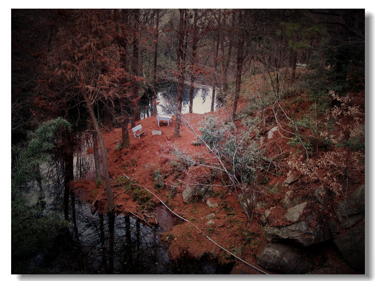 20120102 257.jpg