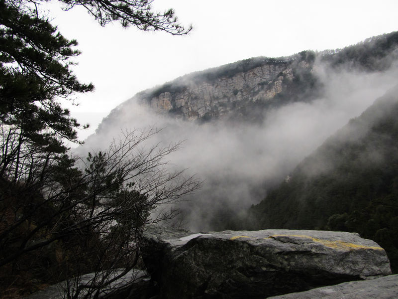 img_5833.jpg
