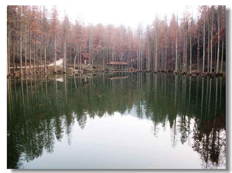 20120102 254.jpg