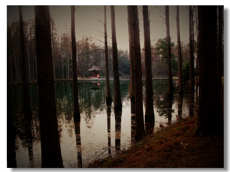 20120102 274.jpg