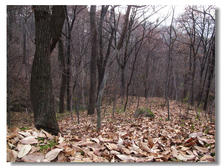 20120102 314.jpg