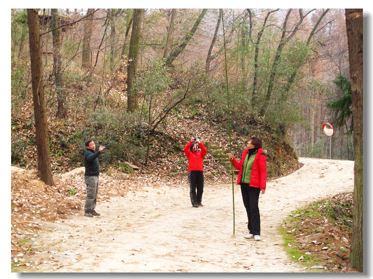 20120102 296.jpg
