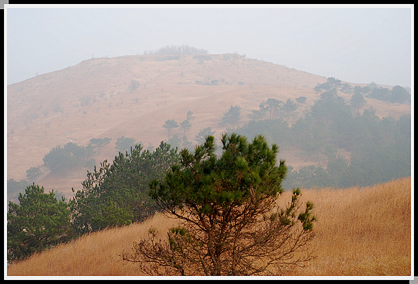 dsc_0259_.jpg