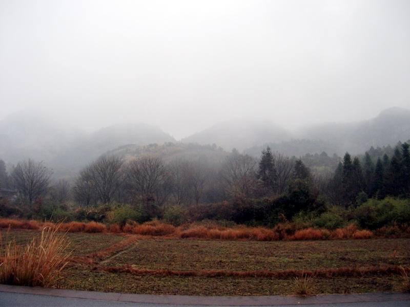 120114185921e0a33a86a968ff.jpg