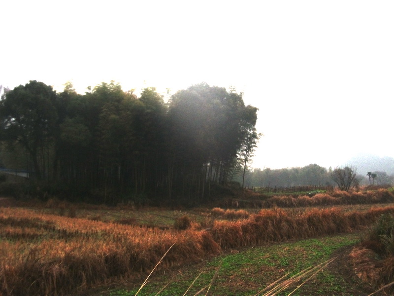 120114190147eefb4a59027f68.jpg