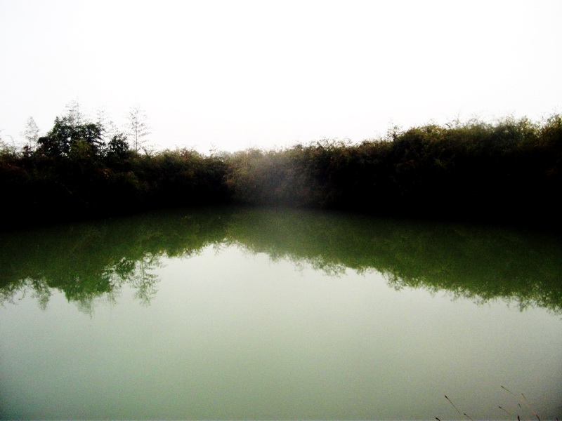 1201142017f5411bc050a90e84.jpg