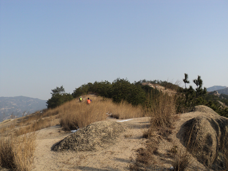 dsc07012_.jpg