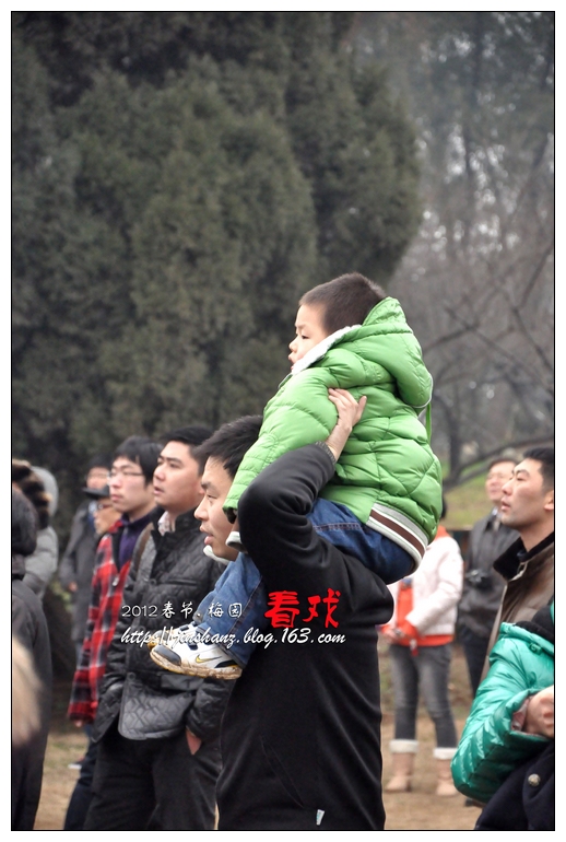 neo_img_ppdsc_4260.jpg