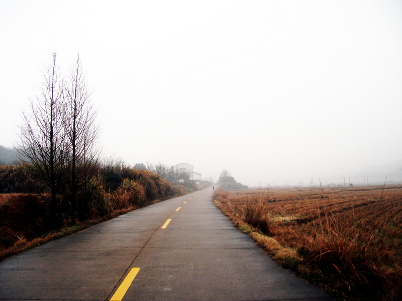 12012101150e15674a2cf83bc5.jpg