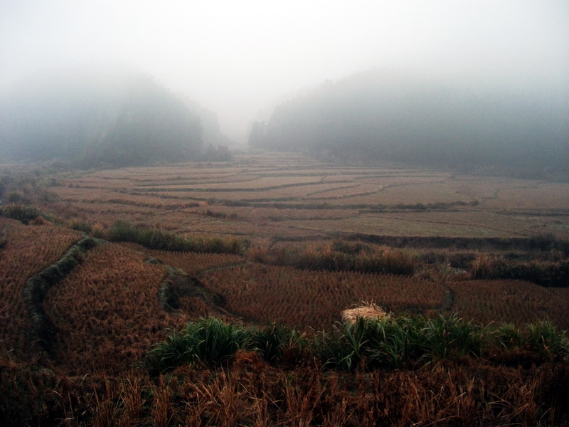 1201210116b21a6d89673e62cc.jpg