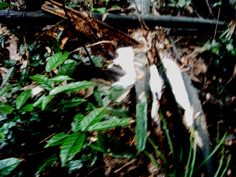 1201210126ad9630600765798d.jpg