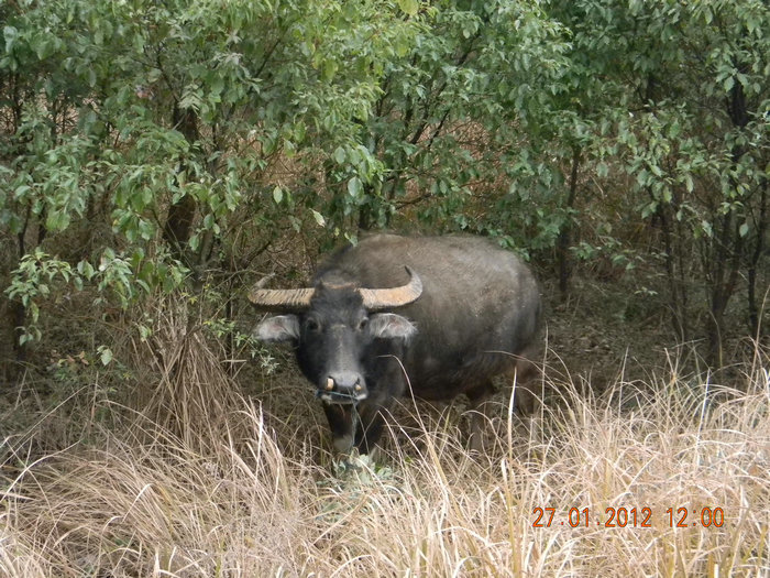 dscn2579.jpg