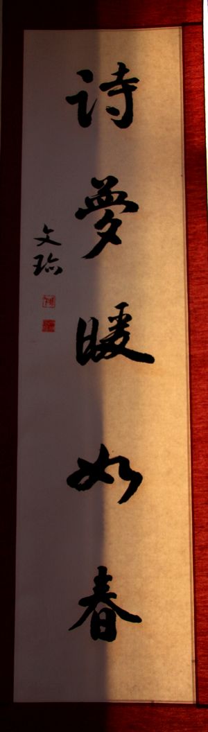  img_9000.jpg