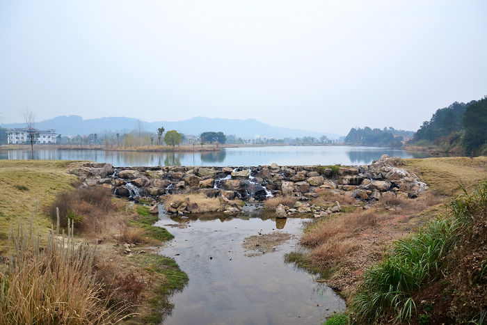 dsc_0010.jpg