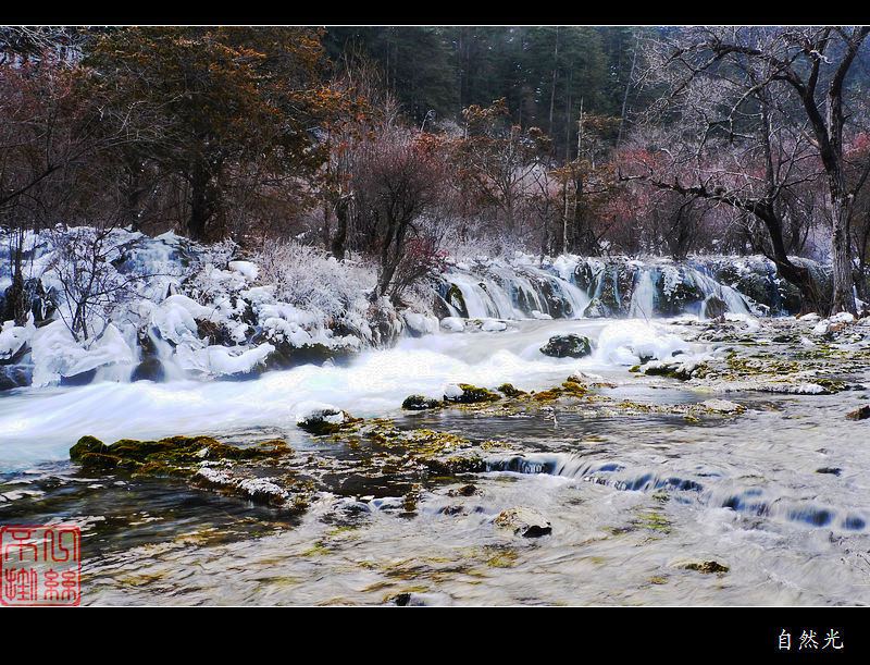 l12807211.jpg