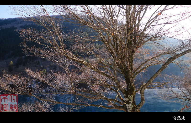 l1280776.jpg