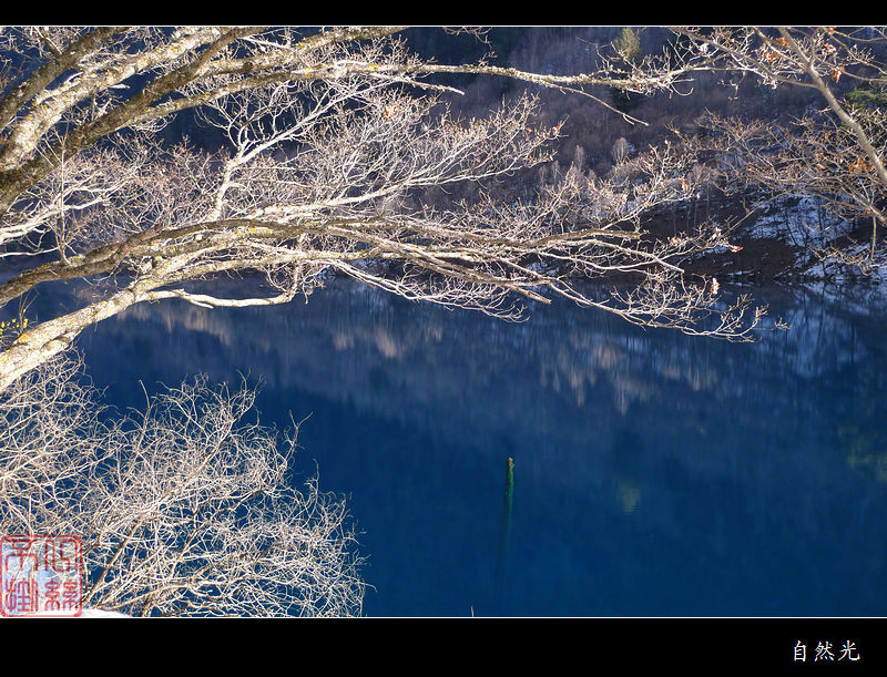 l1280777.jpg