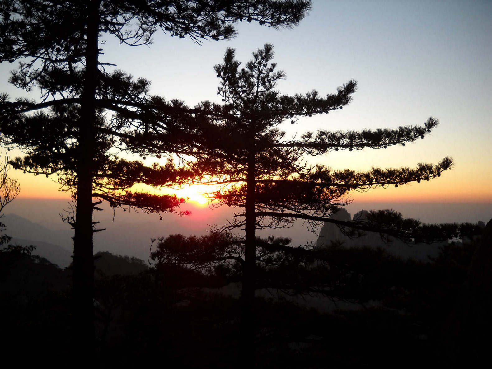 dscn6990.jpg