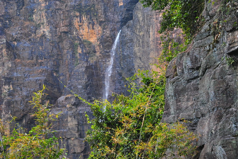 dsc_0011.jpg