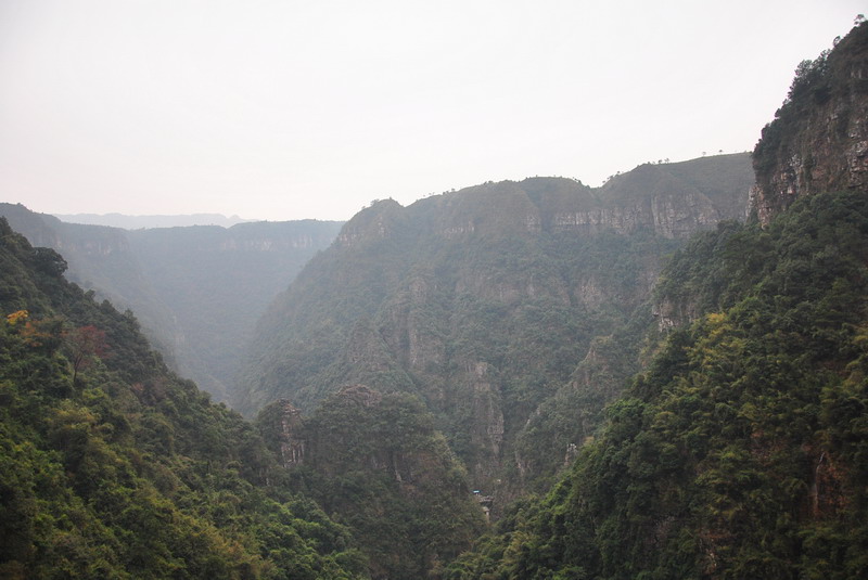 dsc_0007.jpg