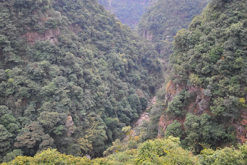 dsc_0072.jpg