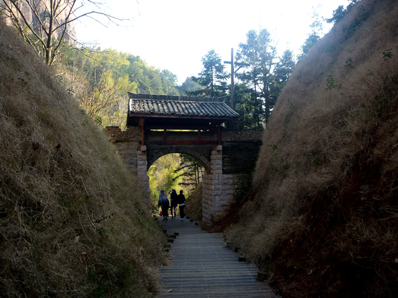 p1100329_.jpg