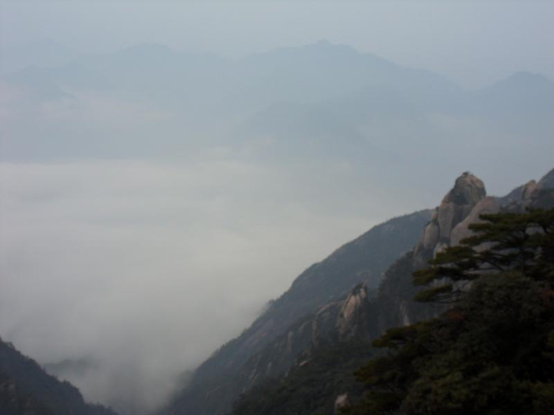 sdc10967.jpg