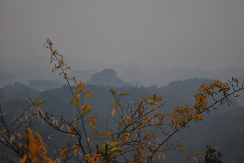 dsc_0138.jpg
