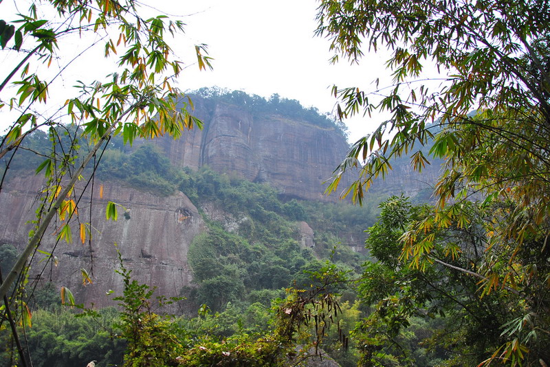 dsc_0175.jpg