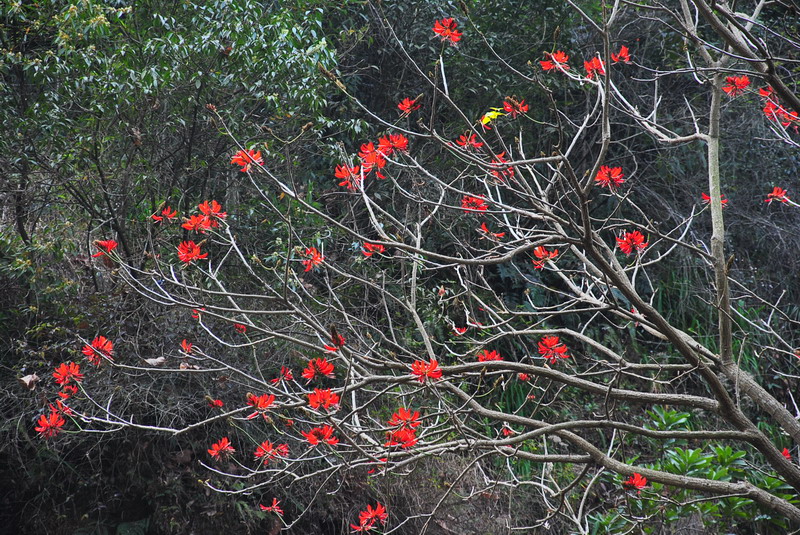 dsc_0203.jpg